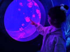 -沈阳海洋探索中心