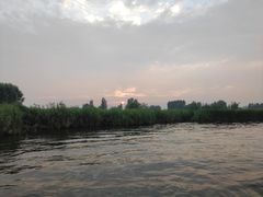 -白洋淀景区