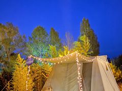 -禅宗少林·音乐大典