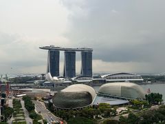 -新加坡瑞士史丹福酒店