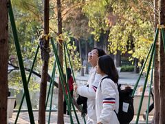 -金砂公园