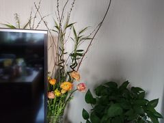 -花鸟鱼虫鲜花绿植市场(玉泉路店)