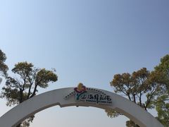 -上海鲜花港