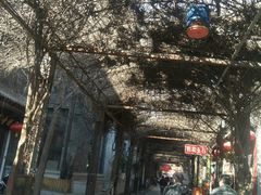 -豆老板的猫咖啡(碑林博物馆店)