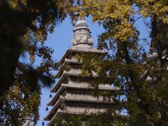 -北京石刻艺术博物馆(五塔寺)