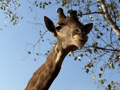 -大连森林动物园