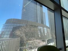 -油梨树AVOCADO TREE(望京店)