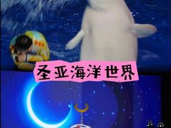 -大连圣亚海洋世界