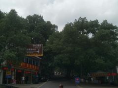 -南岳衡山风景名胜区