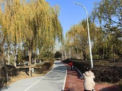 -绿堤公园