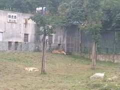 -西安秦岭野生动物园