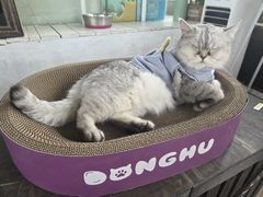 -小时光咖啡馆(北锣鼓巷店)