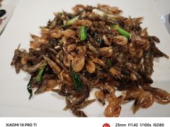 炒河虾-禄源公·老莞诚饭店