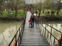 -南汇水蜜桃采摘(大团店)