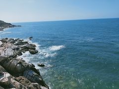 -广东惠东海龟国家级自然保护区