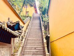 -九华山风景区月身宝殿