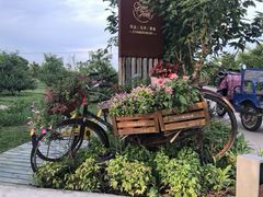 -九善农植有机生活农场