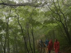-秦岭天竺山景区