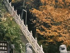 -九华山风景区