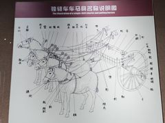 -洛阳周王城天子驾六博物馆