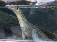 -可伦宾野生动物保护区