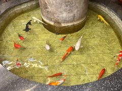 -古莲·影院足道·按摩SPA(水上温泉店)