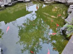 -驿舍·民國老营房院子私房菜(科学会堂店)