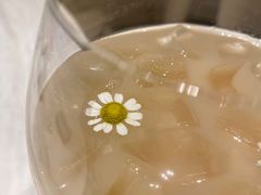 -théATRE 茶聚场(王府中環店)