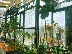 -北马山庄植趣咖啡