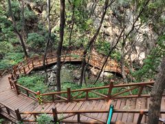 -大岭沟猕猴桃谷风景区
