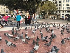 -加泰罗尼亚广场