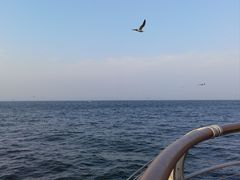 -大连海昌东方水城