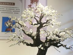 -拙政园