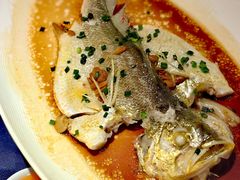 -维园悦谱·海派家常菜(乌鲁木齐南路店)