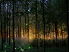 -河南省黄河迎宾馆