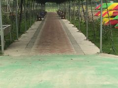 -长廊欢乐园