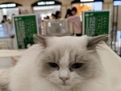-梅龙镇广场