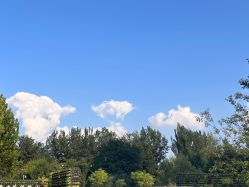 -河南省儿童医院(郑东院区)