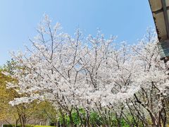 -白塘生态植物园
