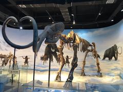 -辽宁古生物博物馆