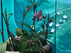 -若水云栖·足疗·按摩·SPA(城阳万达广场店)