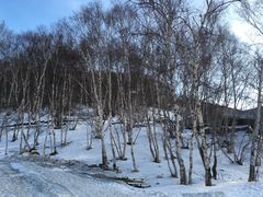 -多乐美地滑雪场
