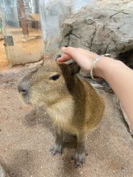 -Zoolung Zoolung动物主题公园(海信广场店)