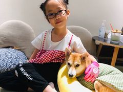 -逗柴咖啡屋·狗咖猫咖宠物桌游