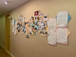 -海豚湾高端月子会所(黄浦店)