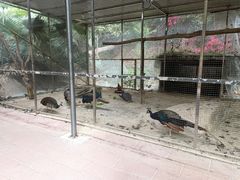 -厦门悦华酒店