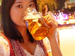 HB德国皇家啤酒-BAIA 巴亚