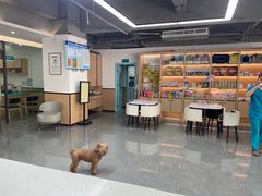 -贝利宠物医院·骨科·眼科·肿瘤转诊中心(南坪诊疗中心)