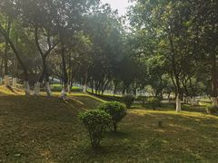-天河儿童公园
