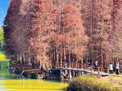 -星湖旅游景区七星岩